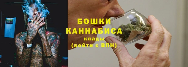 дмт Заводоуковск