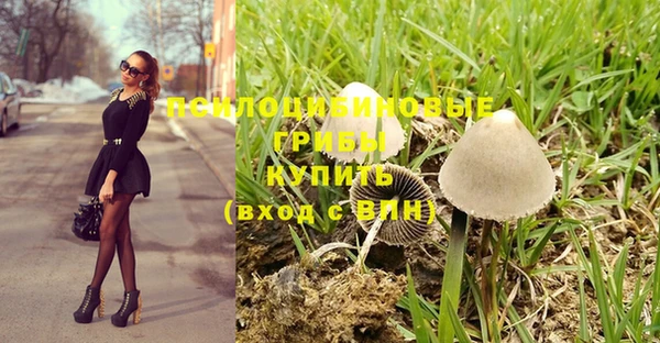 дмт Заводоуковск