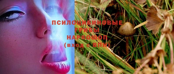 дмт Заводоуковск