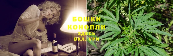 дмт Заводоуковск